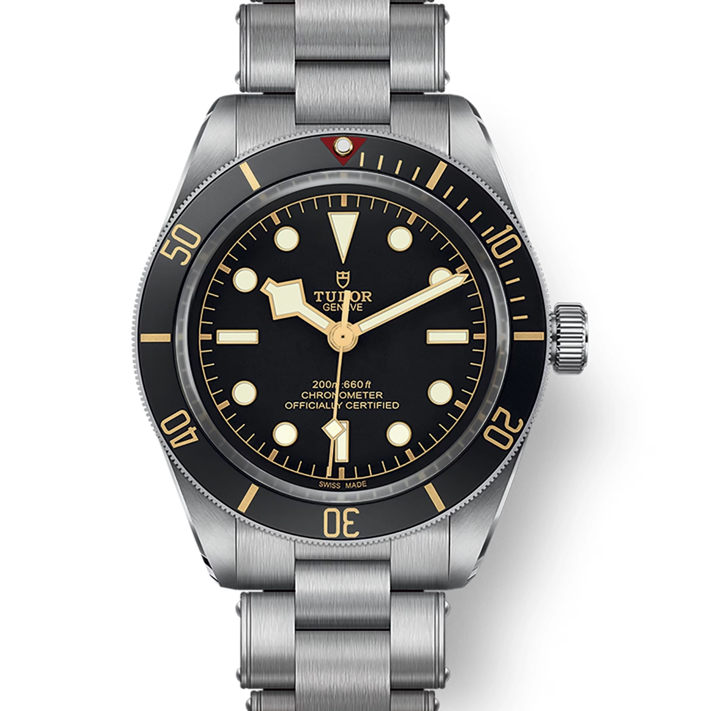 Tudor Black Bay